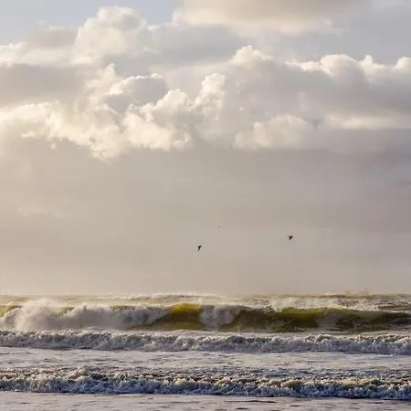 Zee En Duin 3* Katwijk aan Zee